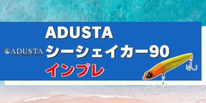 シーシェイカー90インプレ