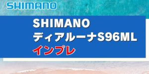 シマノ23ディアルーナ インプレ